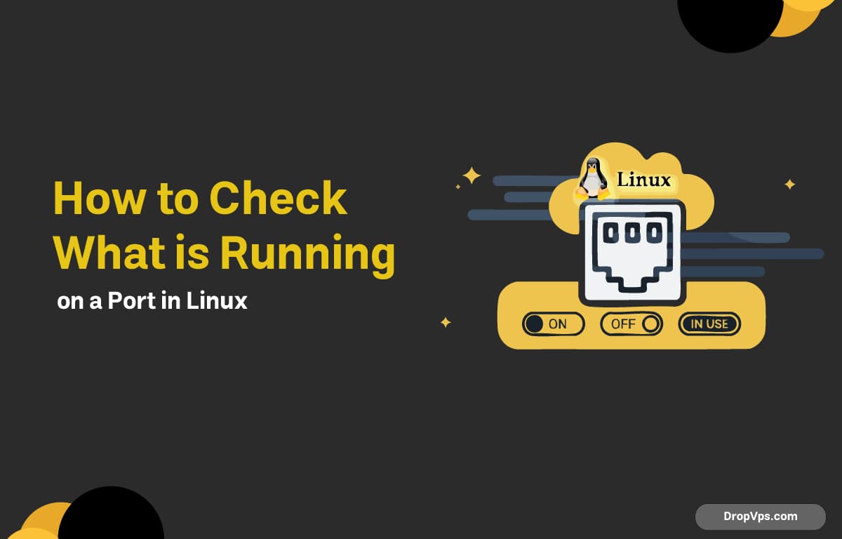 How to Check What is Running on a Port in Linux?