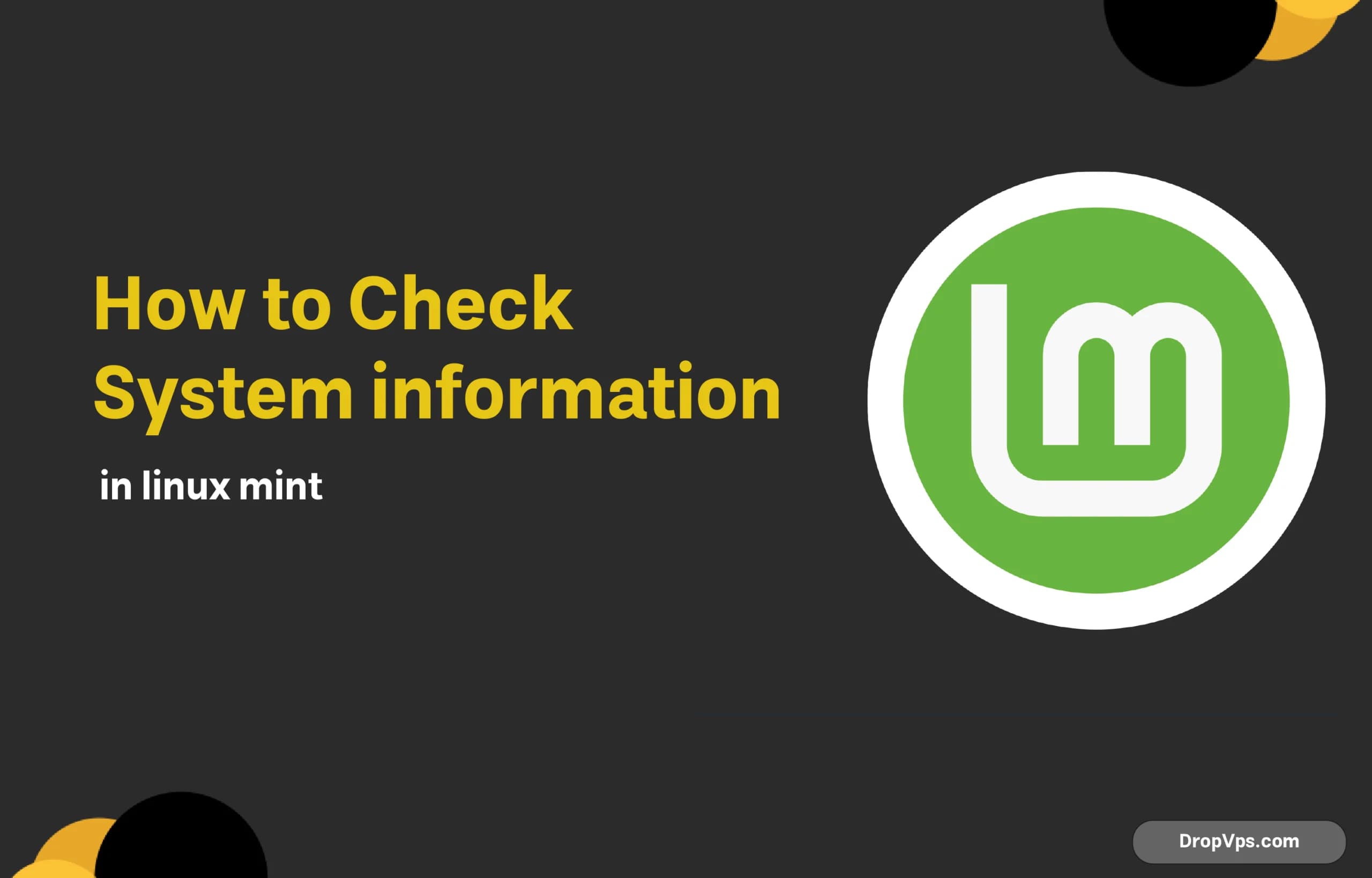 how to check system information in linux mint