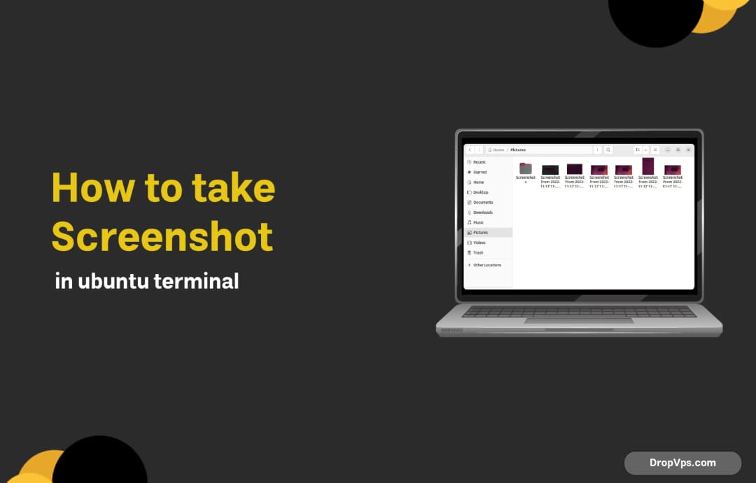 how to take screenshot in ubuntu terminal