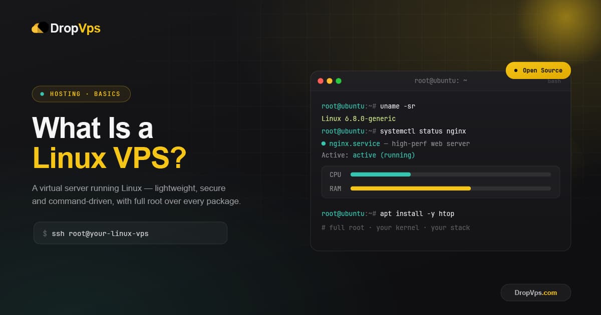 What is Linux VPS
